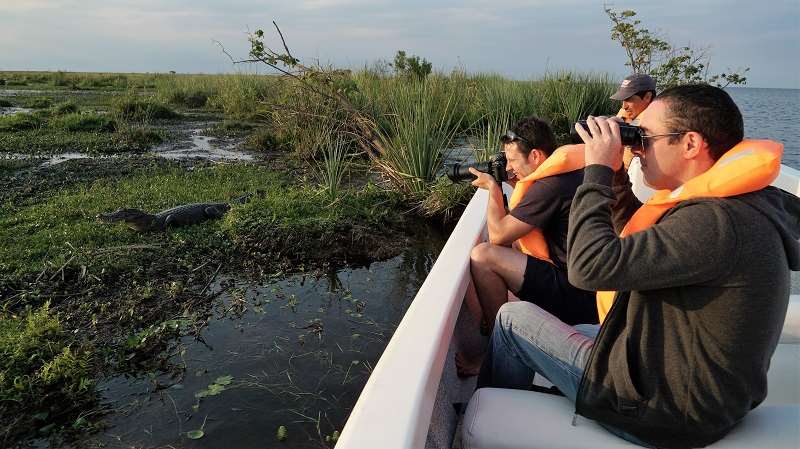 Enjoy close contact with wildlife as you motor around in small boats in the wetlands